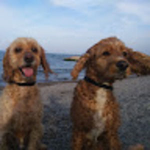 Meet your Posher, Scott